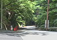 善峯寺への坂（京都）